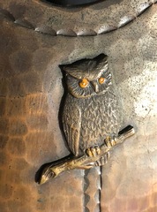 Close up of owl and spots above the owl and to the right side. 